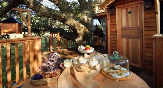 agriturismo casa sull albero pernottamento