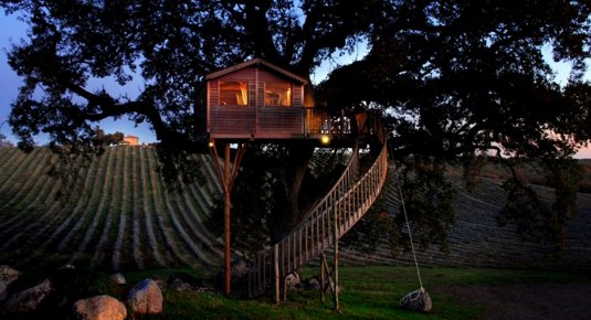casa albero