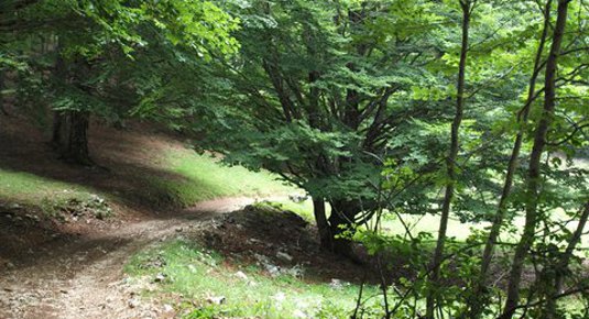 quad lazio noleggio