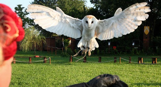 giorno da falconiere milano