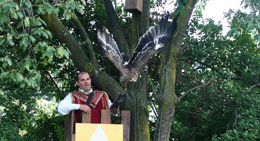 lombardia falconeria