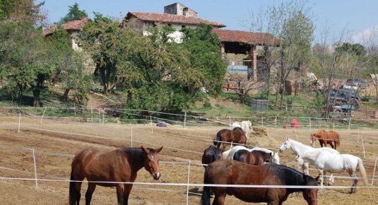 passeggiata a cavallo torino
