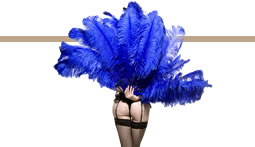 idee per regalo cena burlesque