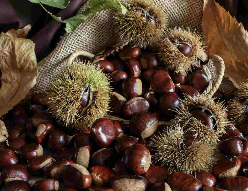castagne