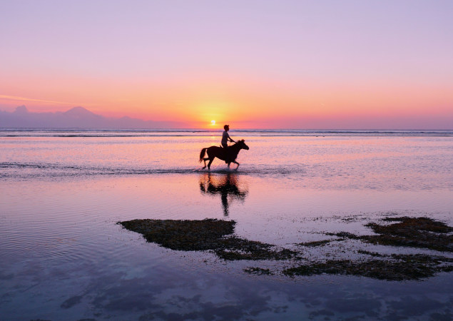 dove fare passeggiate a cavallo