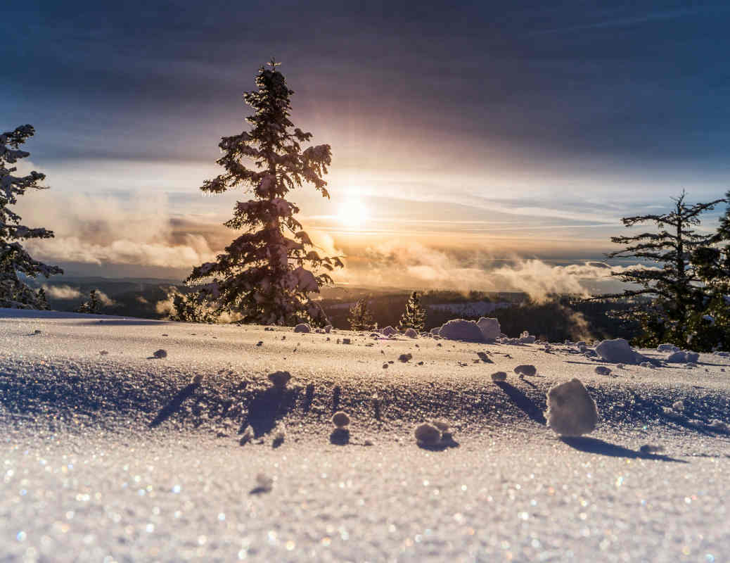 esperienze da fare sulla neve
