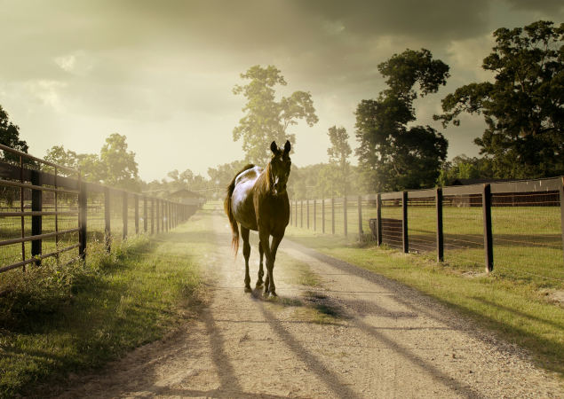 giro a cavallo