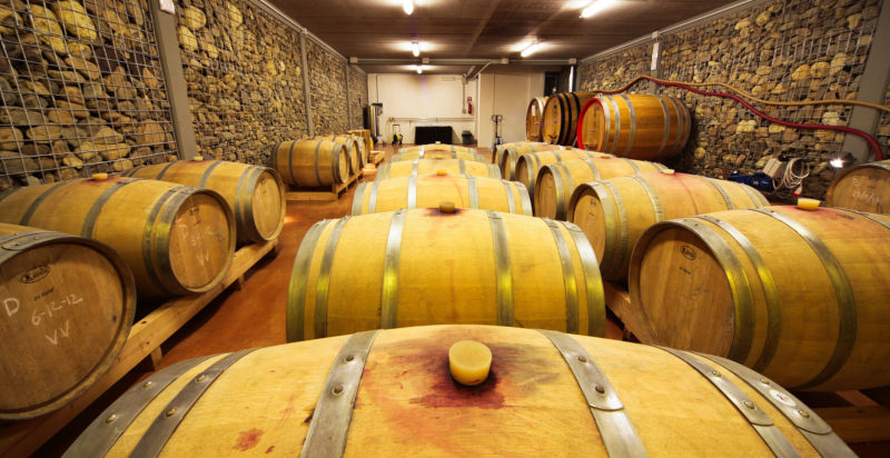 Degustazione vini Monferrato Alessandria