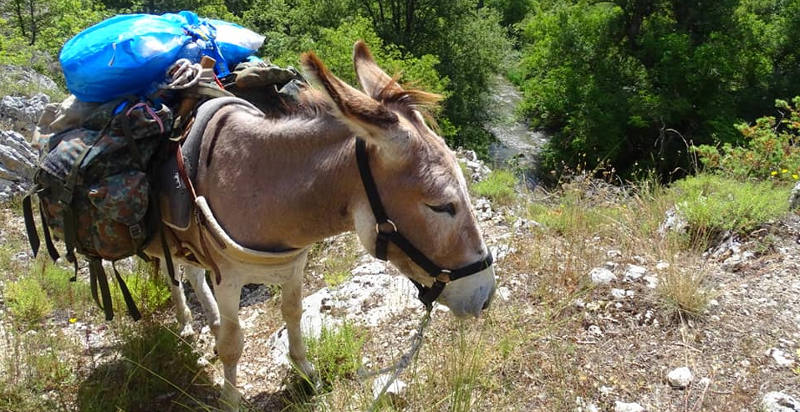 Relax nella natura dell'Abruzzo, escursioni con asini