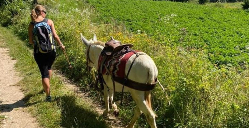 asino-trekking-trentino-arco