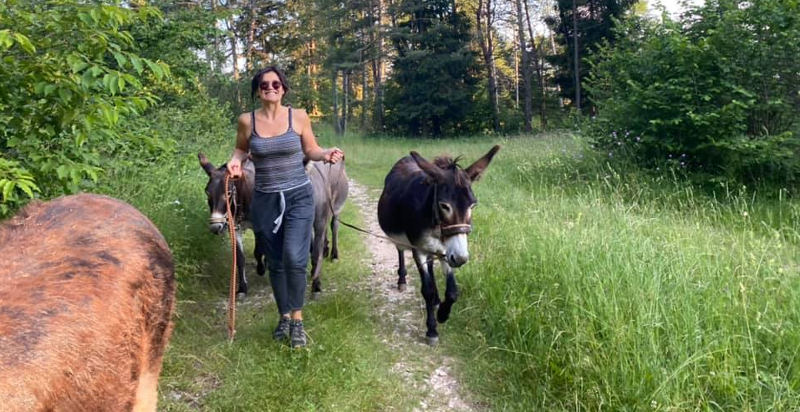 asino-trentino-arco-trekking