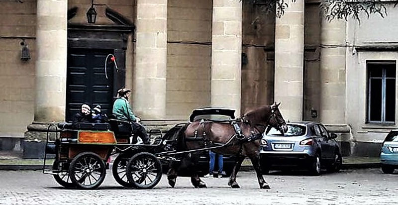 carrozza-sicilia-gita