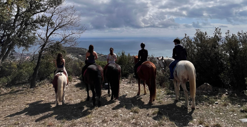 cavalli nell'parco Asinolla con vista mare - passeggiata
