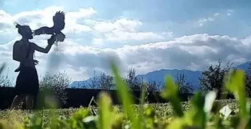 Dimostrazione di falchi e aquile a Malcesine sul Lago di Garda