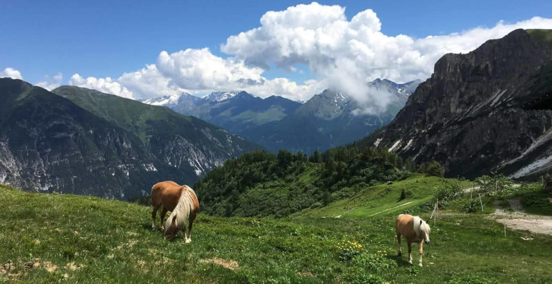 Buono regalo per dormire in rifugio in Alto Adige