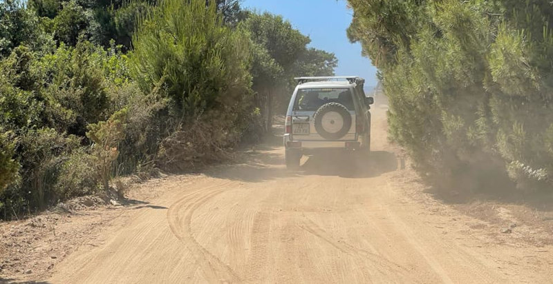 Jeep 4x4 immersa nella natura incontaminata del Golfo di Oristano