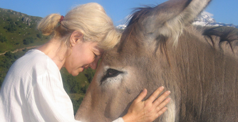 escursione con asini