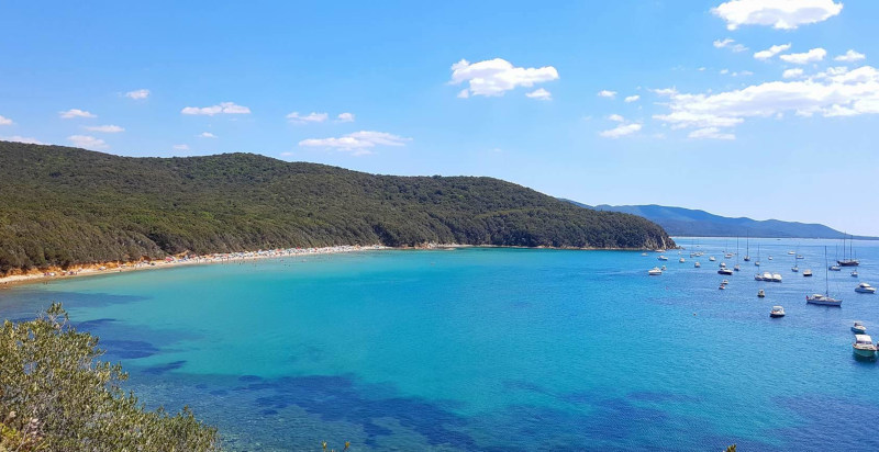 Escursione in barca a motore a Cala Violina