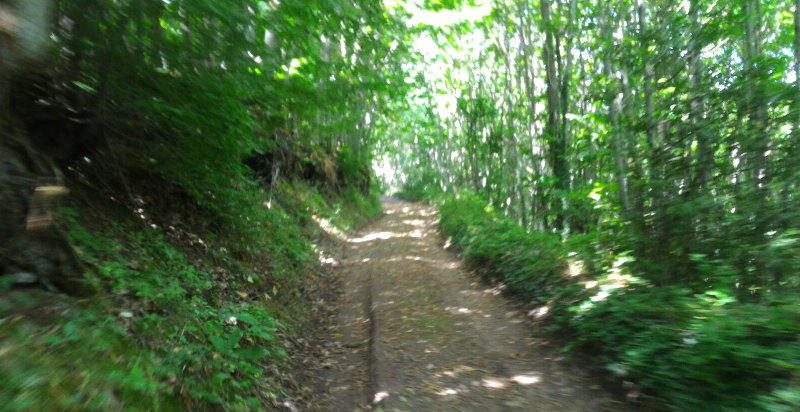 Escursioni quad Basilicata