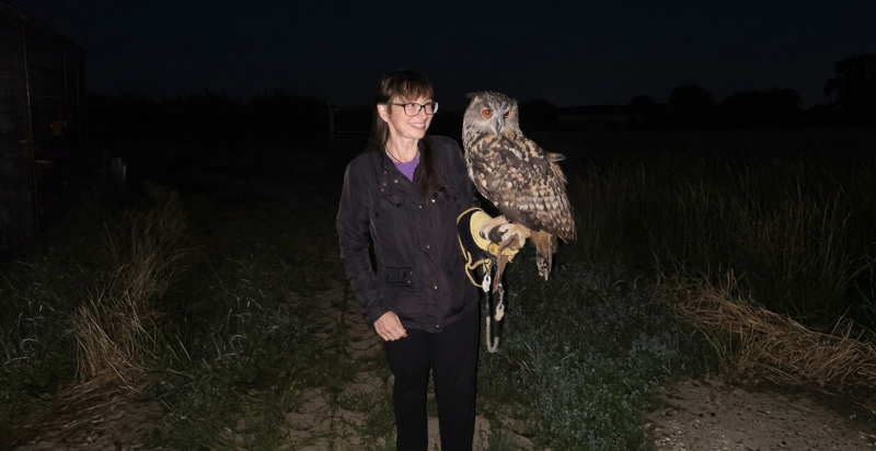 Interazione con rapaci e richiamo al guantone durante falconeria