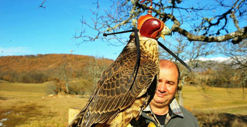 falconeria umbria