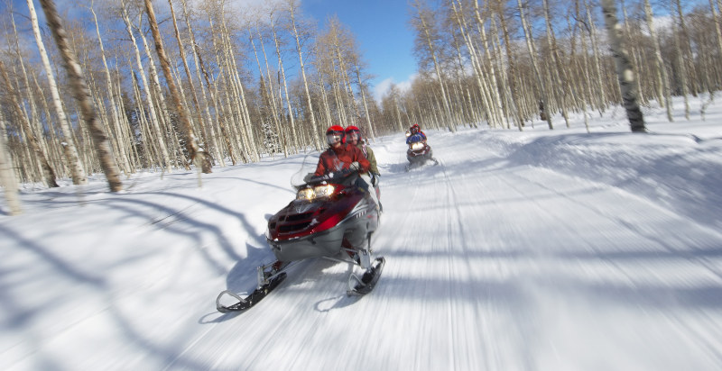 Gita motoslitta Livigno