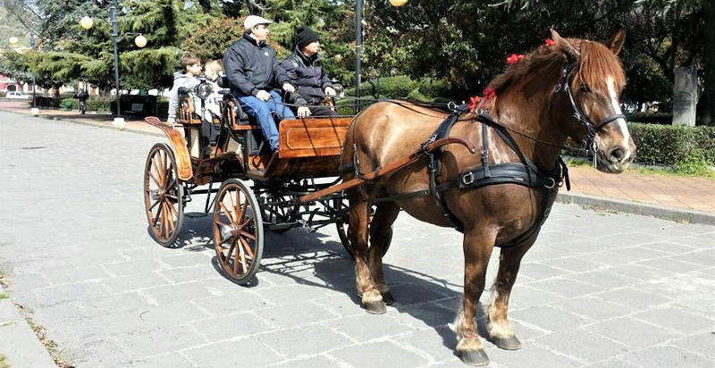 gita-sicilia-carrozza