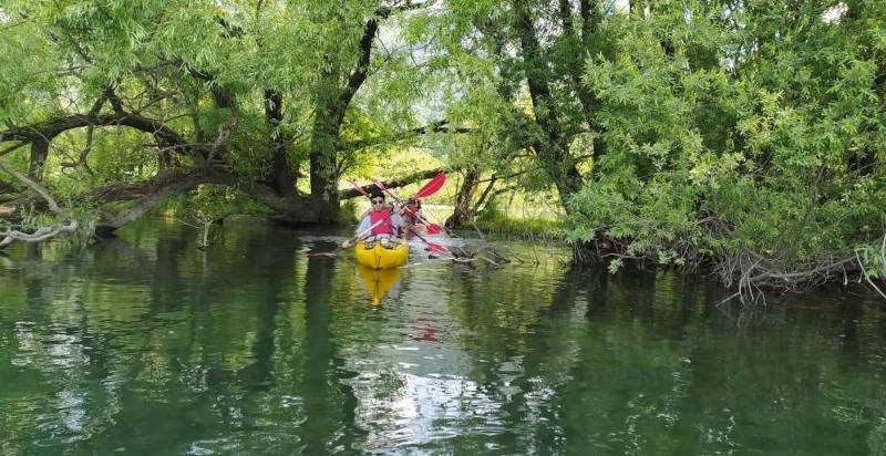 Pagaiata in kayak parco adda tra canneti e sponde boscose ricche di fauna