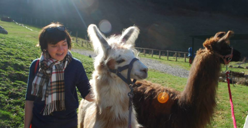 lama trekking lago di como