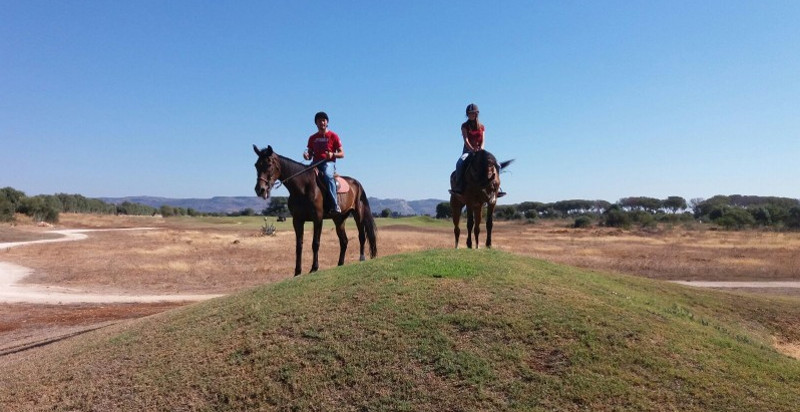 lezione-cavallo-sicilia