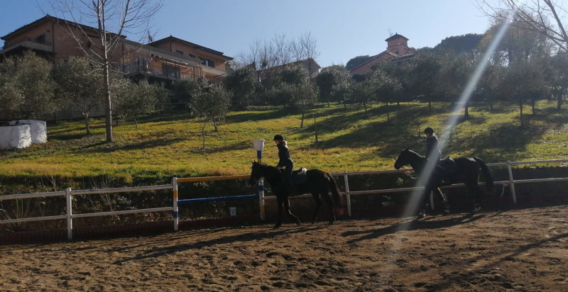 Lezione di equitazione al Centro Equestre vicino a Benevento