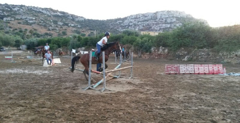 lezione-privata-cavallo-sicilia