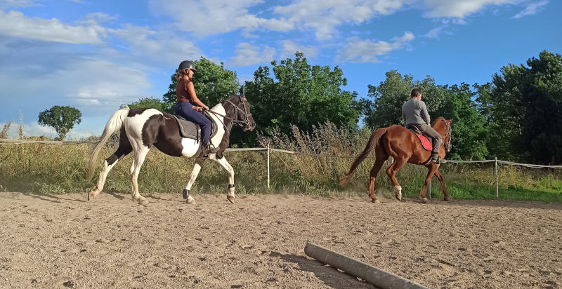 Lezione privata di equitazione a Bosaro, Rovigo