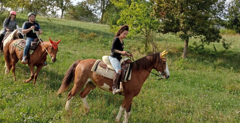 Natura incontaminata a Montegaldella vista durante una passeggiata a cavallo