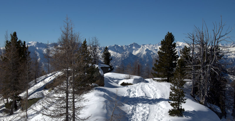 parco-nazionale-grand-paradiso