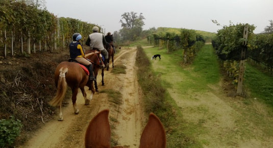 passeggiata a cavallo canale d'alba