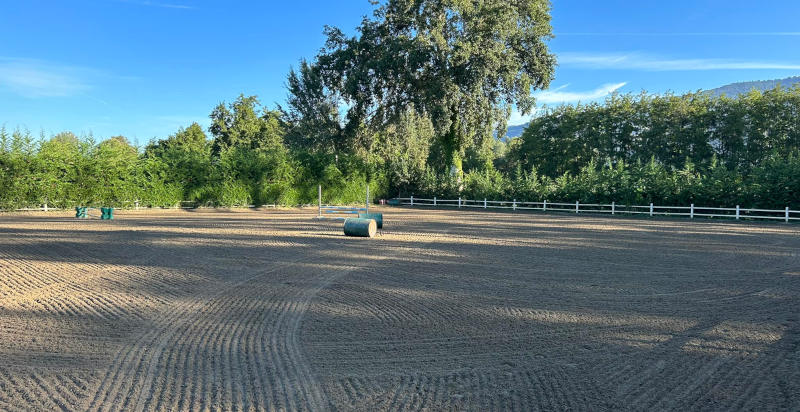 Passeggiata a cavallo per bambini a Montignoso in Toscana