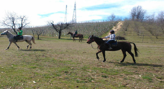 passeggiata a cavallo pimonte