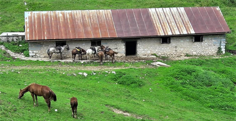 Passeggiata cavallo Ranch Lupi