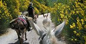 abruzzo-asino-trekking-pernottamento