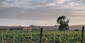 Degustazione vini in un'antica tenuta a Siracusa