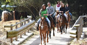 cavallo-passeggiata-coflari