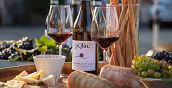 Degustazione di vini biologici accompagnati da salumi tipici piemontesi