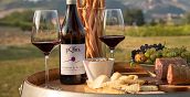 Degustazione vini biologici piemontesi in azienda agricola