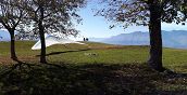 Lago di Como