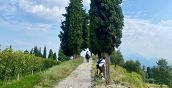 Zona Lago di Garda