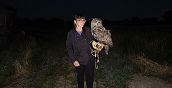 Interazione con rapaci e richiamo al guantone durante falconeria