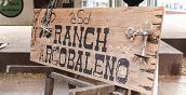 Lavorare un giorno in un ranch di cavalli