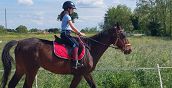Lezione e passeggiata a cavallo ranche vicino Rovigo