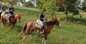 Natura incontaminata a Montegaldella vista durante una passeggiata a cavallo